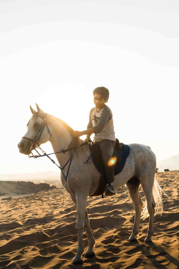 Cahaya Emas — Studi Detail